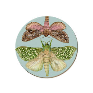 Tanya Wolfkamp Coasters - NZ Moths