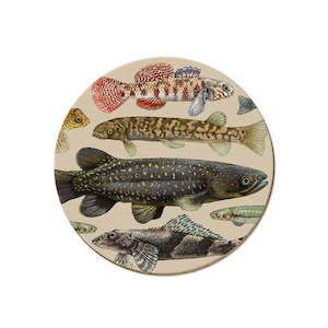 Tanya Wolfkamp Coasters - NZ Freshwater Fish