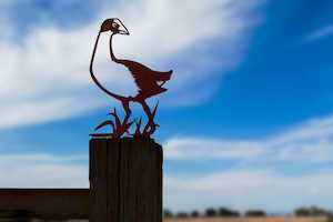 Furniture: Metalbird - Pukeko