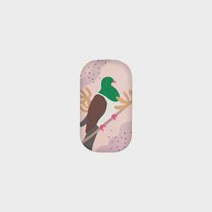 Trinket Box - Kereru