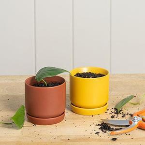 Furniture: Oslo Planter - mini (all colours)