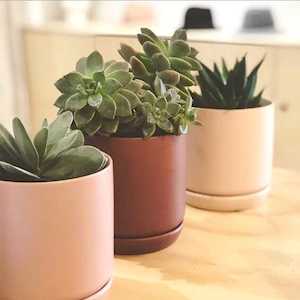 Oslo Planter - small (all colours)