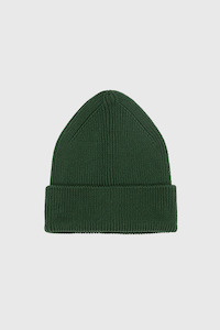 Beanie - Conifer