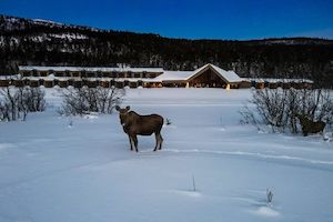 Winter Arctic Adventure