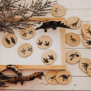 Wooden Magnets Set - Dinosaurs