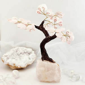 Rose Quartz Tree on Rose Quartz Base (approx. 19.5x20cm)