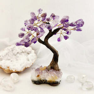 Crystals Fossils: Amethyst Tree on Amethyst Cluster (approx. 16.4x15.3cm)