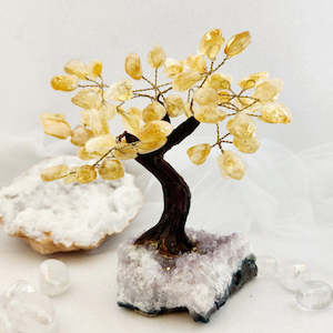 Crystals Fossils: Citrine Tree on Amethyst Cluster (approx. 16.5x14.5cm)