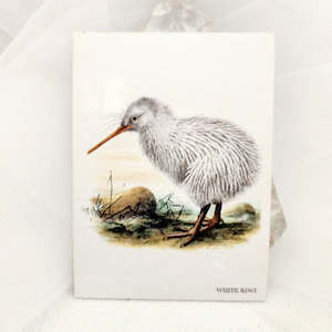 Aotearoa Inspired: White Kiwi Magnet (approx. 6.5x9cm)