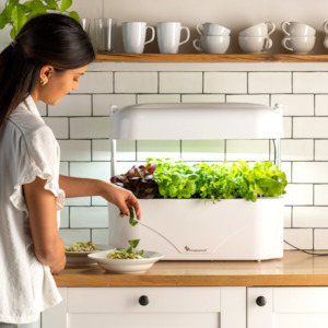 Planter Boxes Raised Gardens: Vegepod Kitchen Garden - White