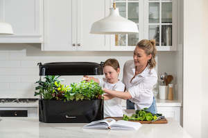 Planter Boxes Raised Gardens: Vegepod Kitchen Garden - Black