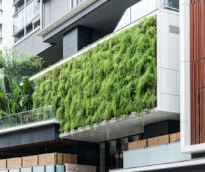 Technical Growing Media: Living Wall Mix