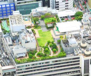 Roof Garden Mix