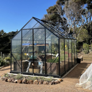 Winter Gardenz 8x10ft Glasshouse