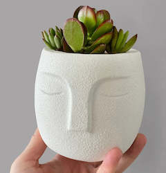 Face Planter - Artistic Decor