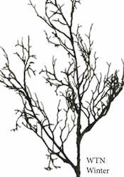 Homewares: Winter Twig