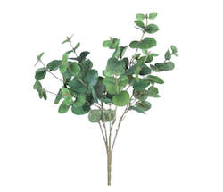 Eucalyptus Bush