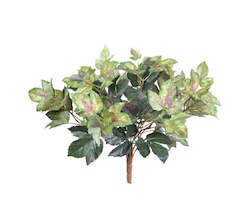 Homewares: Maple Ivy Bush