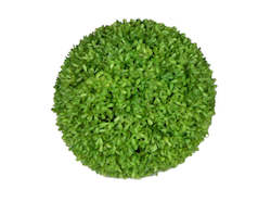 Boxwood Ball