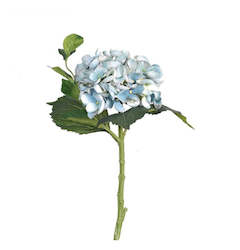 Woodland Hydrangea