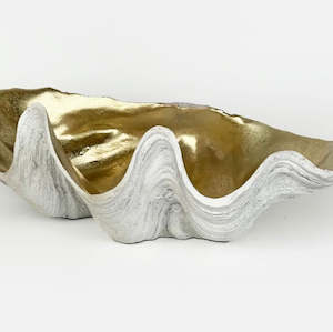 Homewares: Clam Shell Champagne