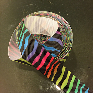 Rainbow Zebra Bag Bow-holder