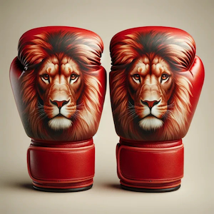 Sporting club or association - community sport: Boxing Gloves - Kings Academy