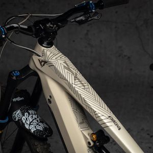 Bicycle and accessory: DYEDBRO - STAYFREE - E-BIKE