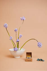 Ikebana Kit