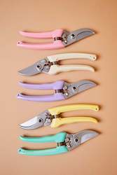 ARS Secateurs