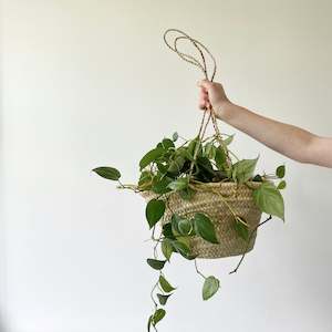 Baskets: Hanging Basket