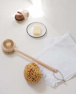 Skincare: Beechwood Back Brush ~ Made in France