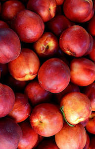 Seasonal Nectarines