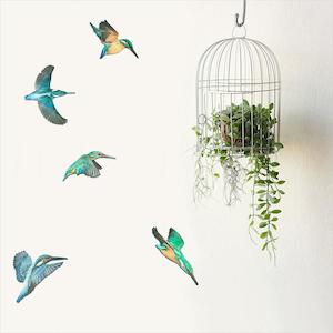 Staff Picks: NZ Native Birds Wall Sets - Kotare