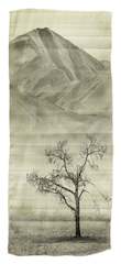 Unframed Photographic Print - Time Worn Tree Maniototo