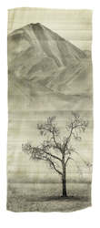 Creative art: Framed Print - Time Worn Tree, Maniototo