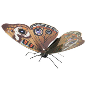 Metal Earth – Butterfly Buckeye