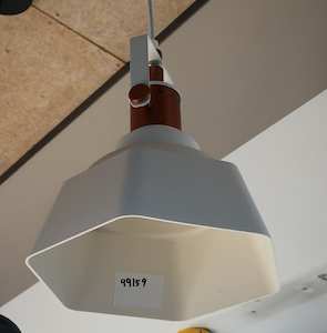 Lighting Pendant Light 9915D-1W