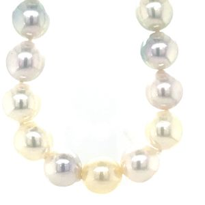 Watch: Single Strand 42x 9-9.5mm Multi Colour Akoya Pearls w Stg Silver 9mm Button Clasp