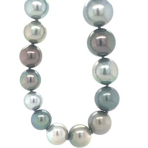 Single Strand 91x 7-13.8mm Multi Colour Tahitian Pearls w18K White Gold Brushed Ball Clasp