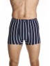 Sports stripe trunk