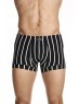 Sports stripe short trunk