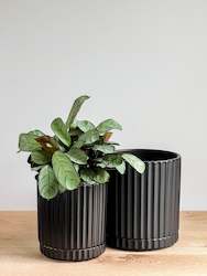 Athens Planter - Black