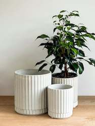 Plant, garden: Athens Planter - Sand