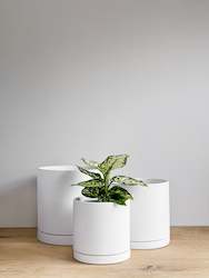 Haus Planter - White