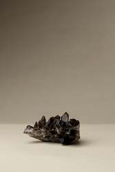 Plant, garden: Smoky Quartz