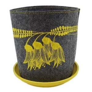 yellow kowhai on dark grey nzjlfb20