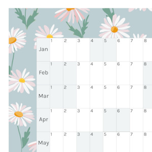 Horizontal 2025 Paper Wall Planner | Daisy Lane