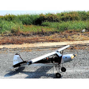 Shock Cub 38-50cc span 2.59m Silver w/wingbags by Seagull Models