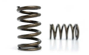 Kelford Cams Subaru EJ20 / EJ25 Valve Springs